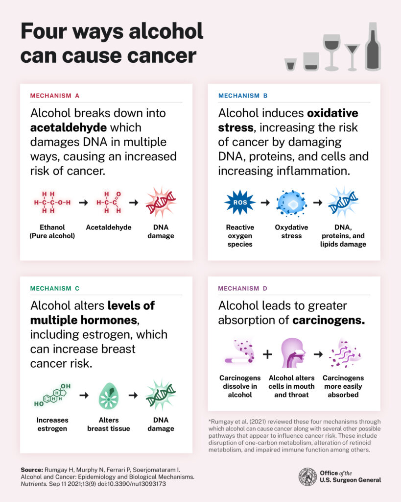 a graph describing four ways alcohol can cause cancer