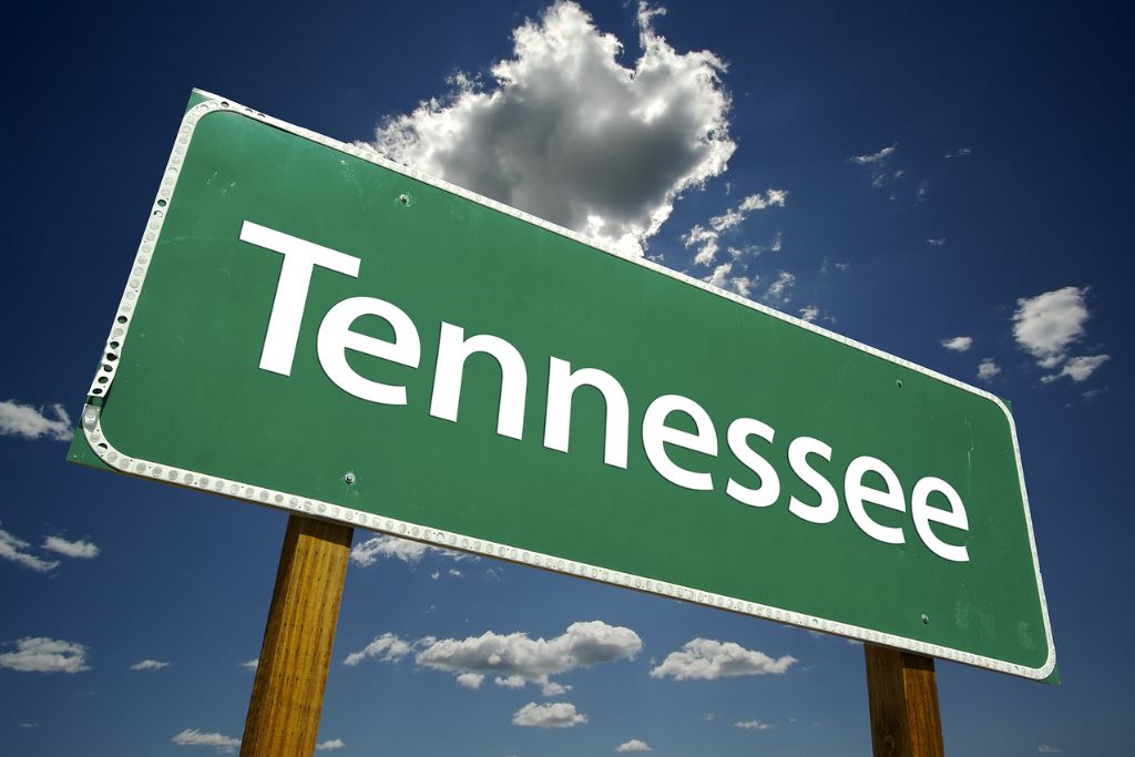 The Opioid Epidemic in Tennessee: Seeking Rapid Detox Solutions