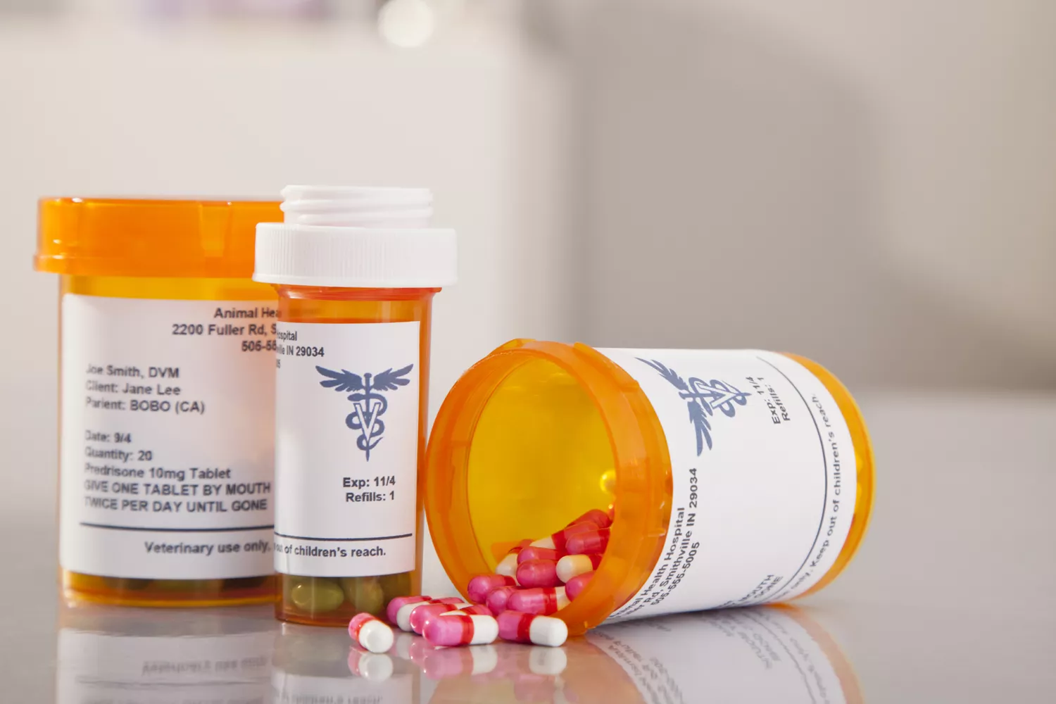 Is Nicotine Gum Bad for You? Safety, Side Effects & Alternatives 2026