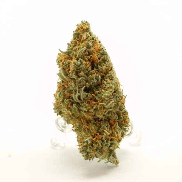 God Bud Indica Grade Aaa