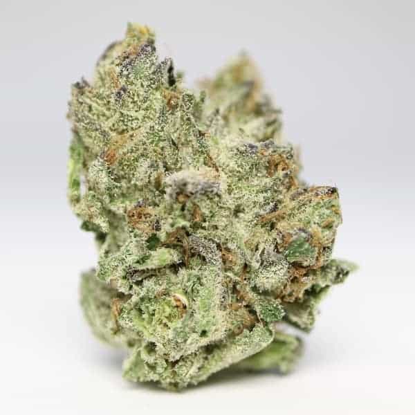 Gorilla Glue Hybrid Grade Aaa