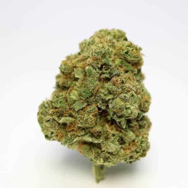 Romulan Indica Grade Aaaa