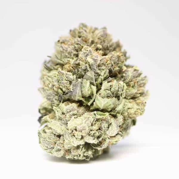 Ice Wreck Hybrid Grade Aaa