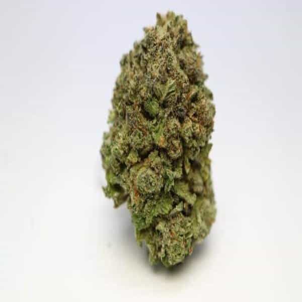 Purple Skunk Indica Grade Aaa