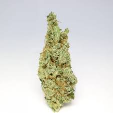 Organic Chocolope Kush Hybrid Grade Aaa