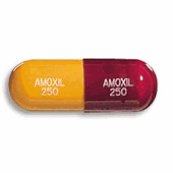 Amoxicillin ( Amoxil ) 250 Mg, 500 Mg