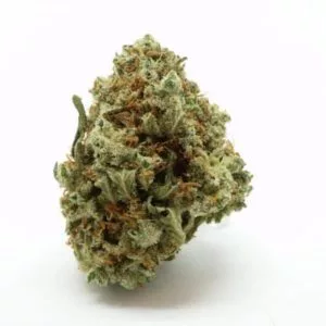 Purchase Blue Nuken Hybrid Online