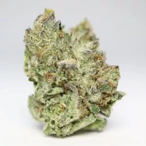 Get Gorilla Glue Hybrid