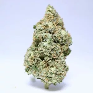 Headband strain order online