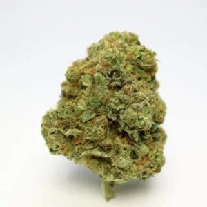 buy romulan strain