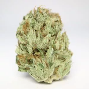 buy og kush indica grade aaa