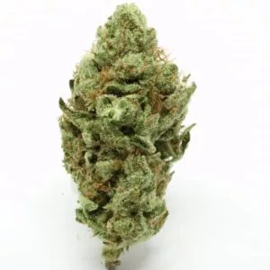 Best place to buy Oregon Golden Goat online