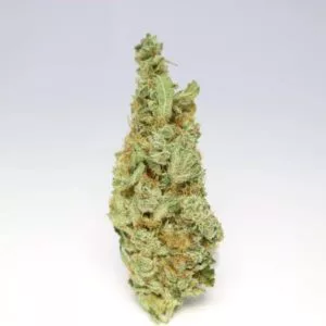 Organic Chocolope Kush