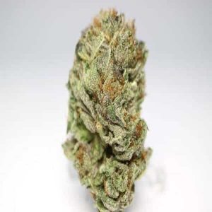 Buy Purple Candy Indica Grade AAA