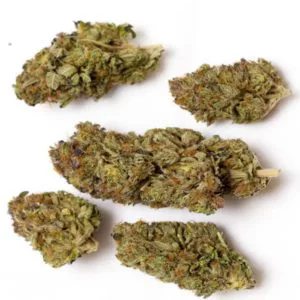 Buy Rockstar AAA Indica Hybrid Strain