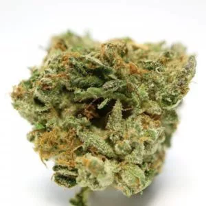 Buy MK Ultra Indica