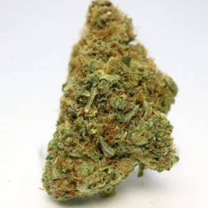 buy Purple Kush Indica Grade AAA